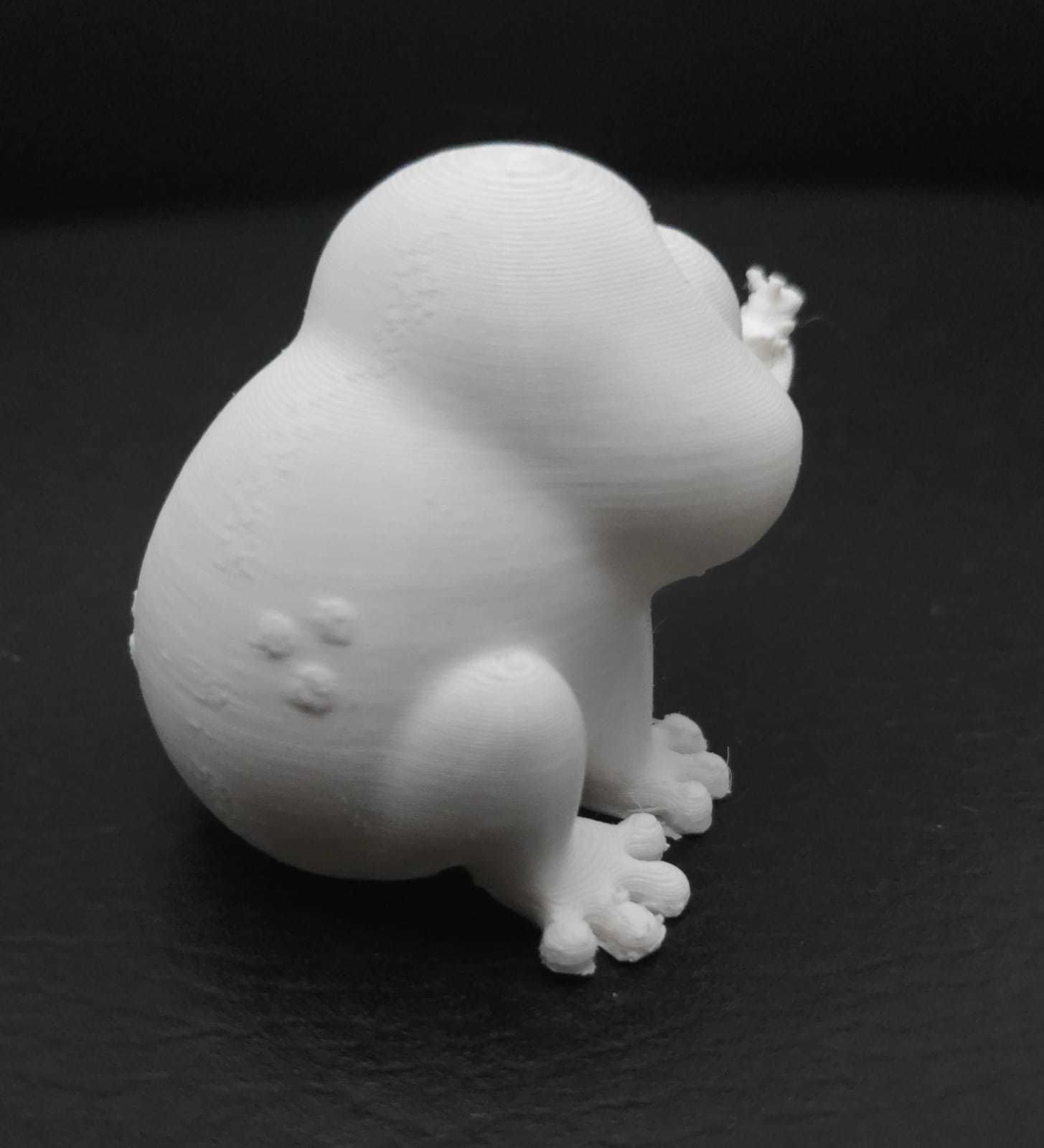 Frog Eating Mosquito 3D print model_15