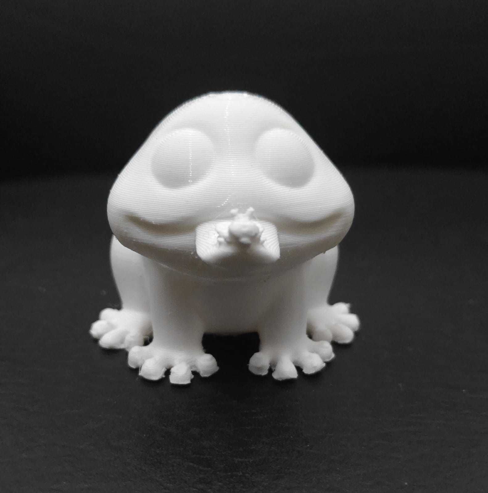 Frog Eating Mosquito 3D print model_5