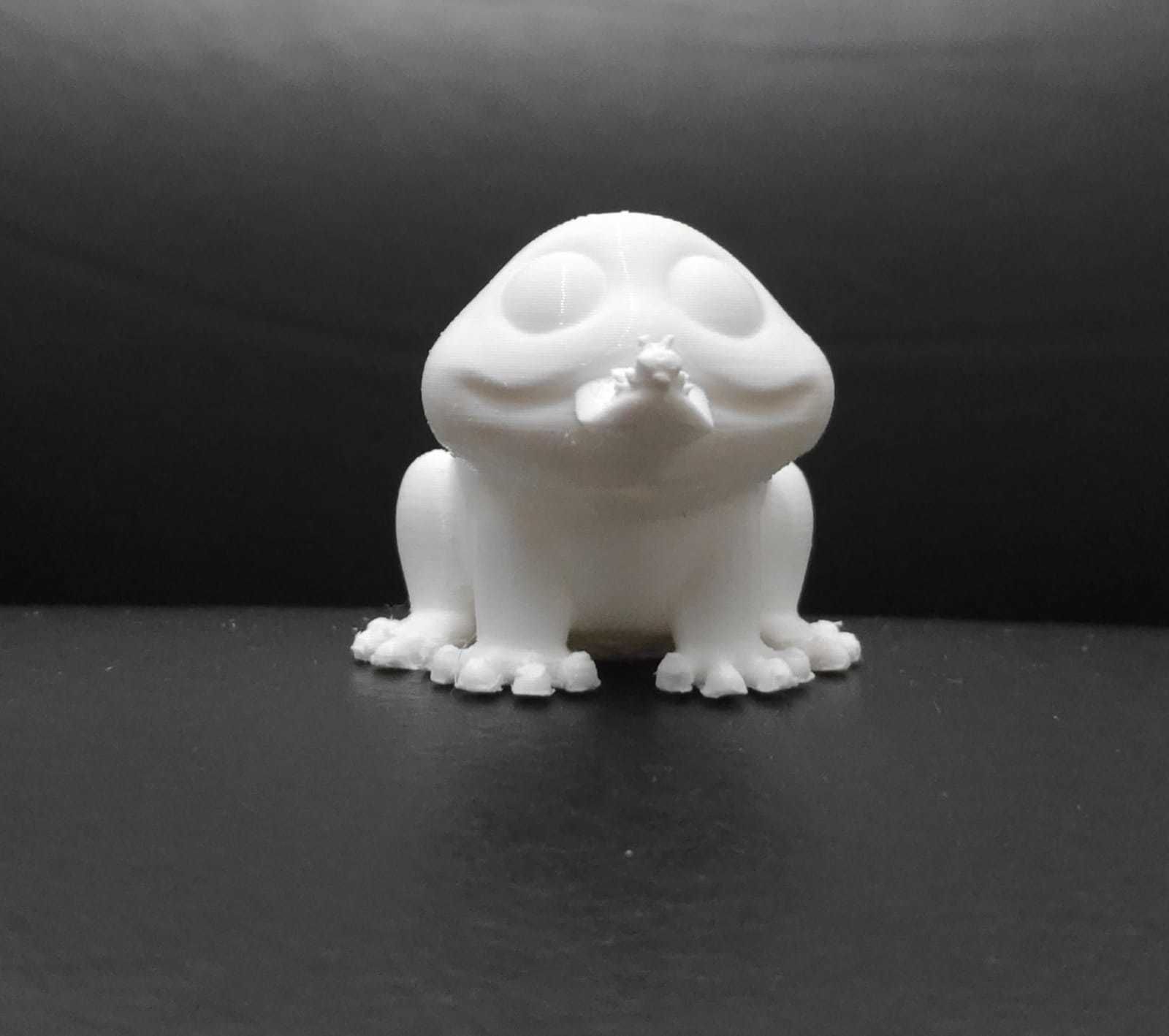 Frog Eating Mosquito 3D print model_18