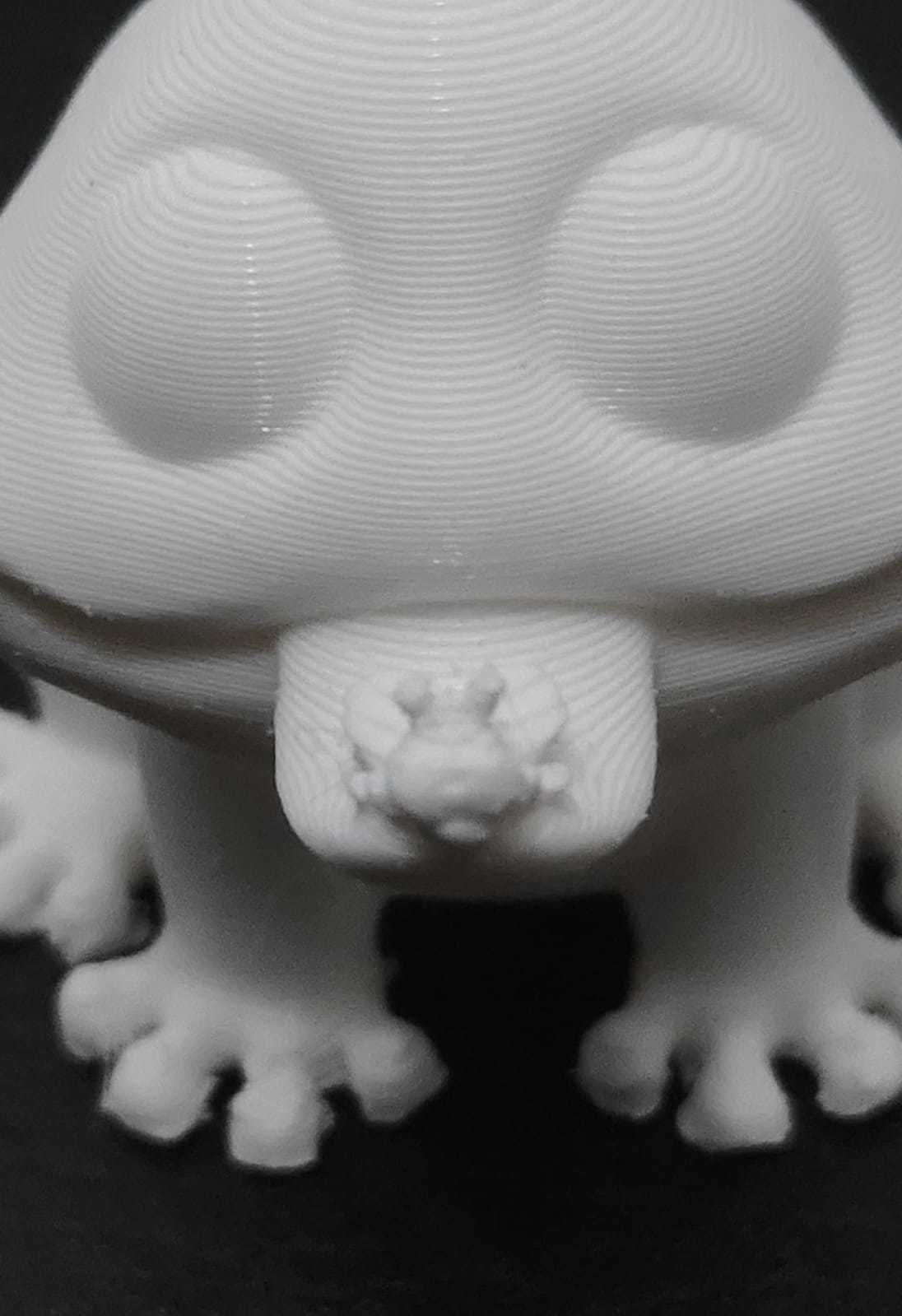 Frog Eating Mosquito 3D print model_14