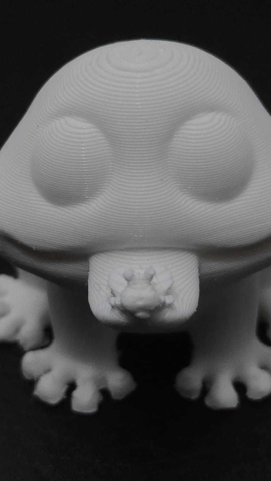 Frog Eating Mosquito 3D print model_13