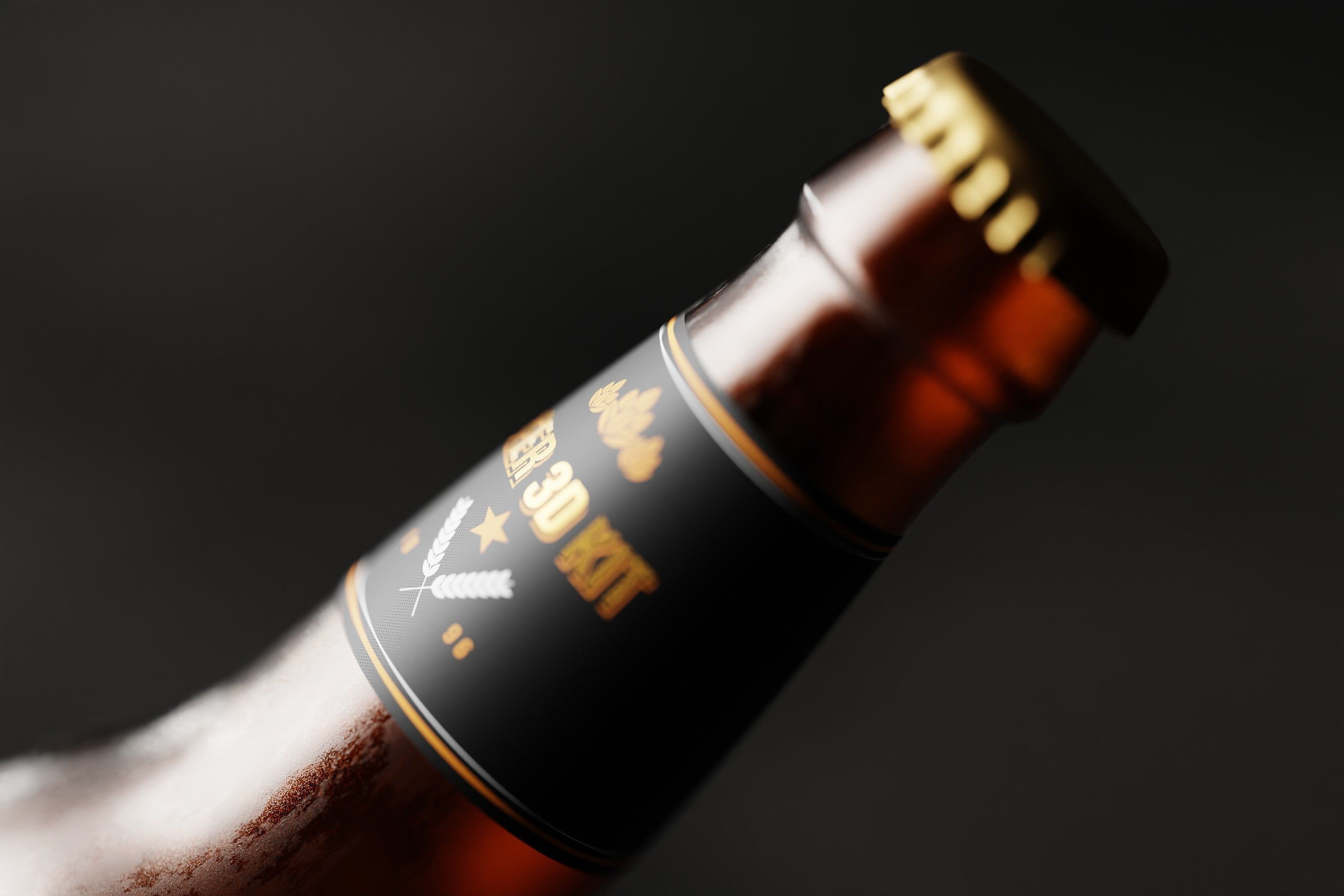 North American Longneck Beer Bottle Low-poly 3D model_5