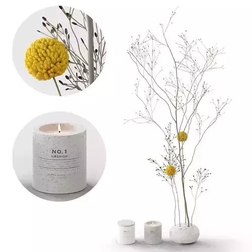 Decor Craspedia and candles Set 58