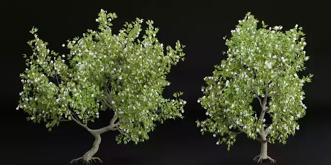 collection trees vol 13-Blender 3D model