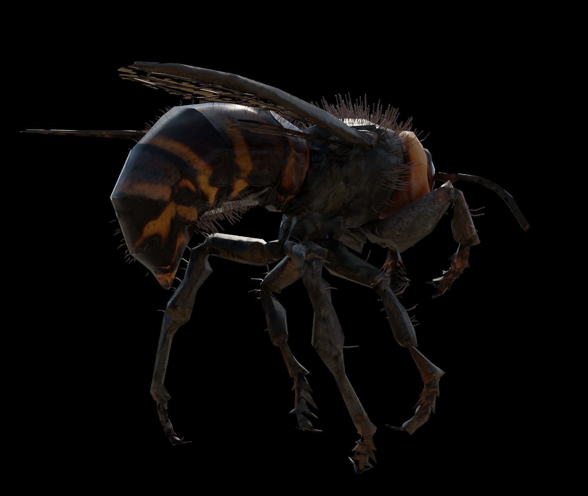 3d animated bee Low-poly 3D model_2