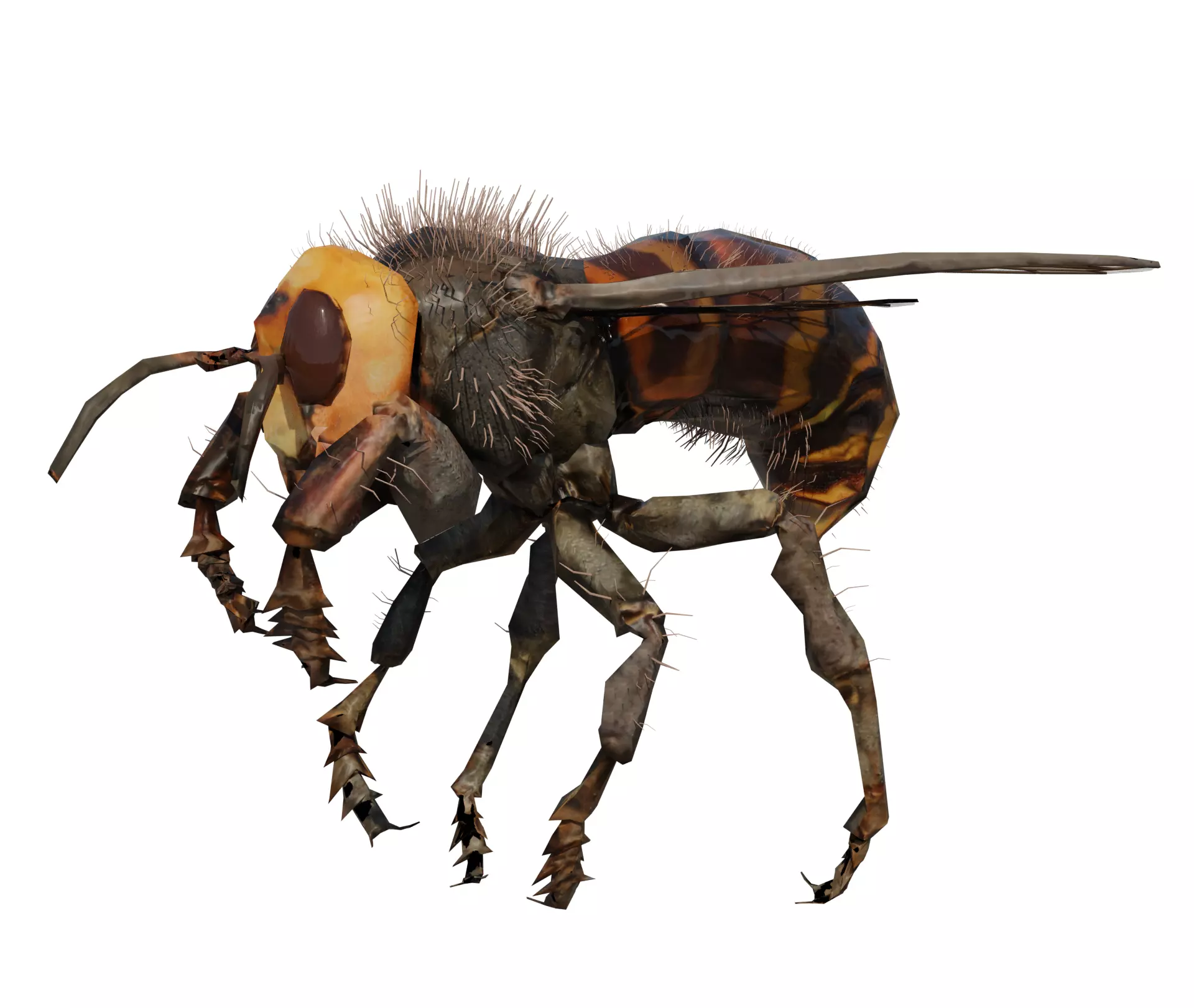 3d animated bee Low-poly 3D model_0