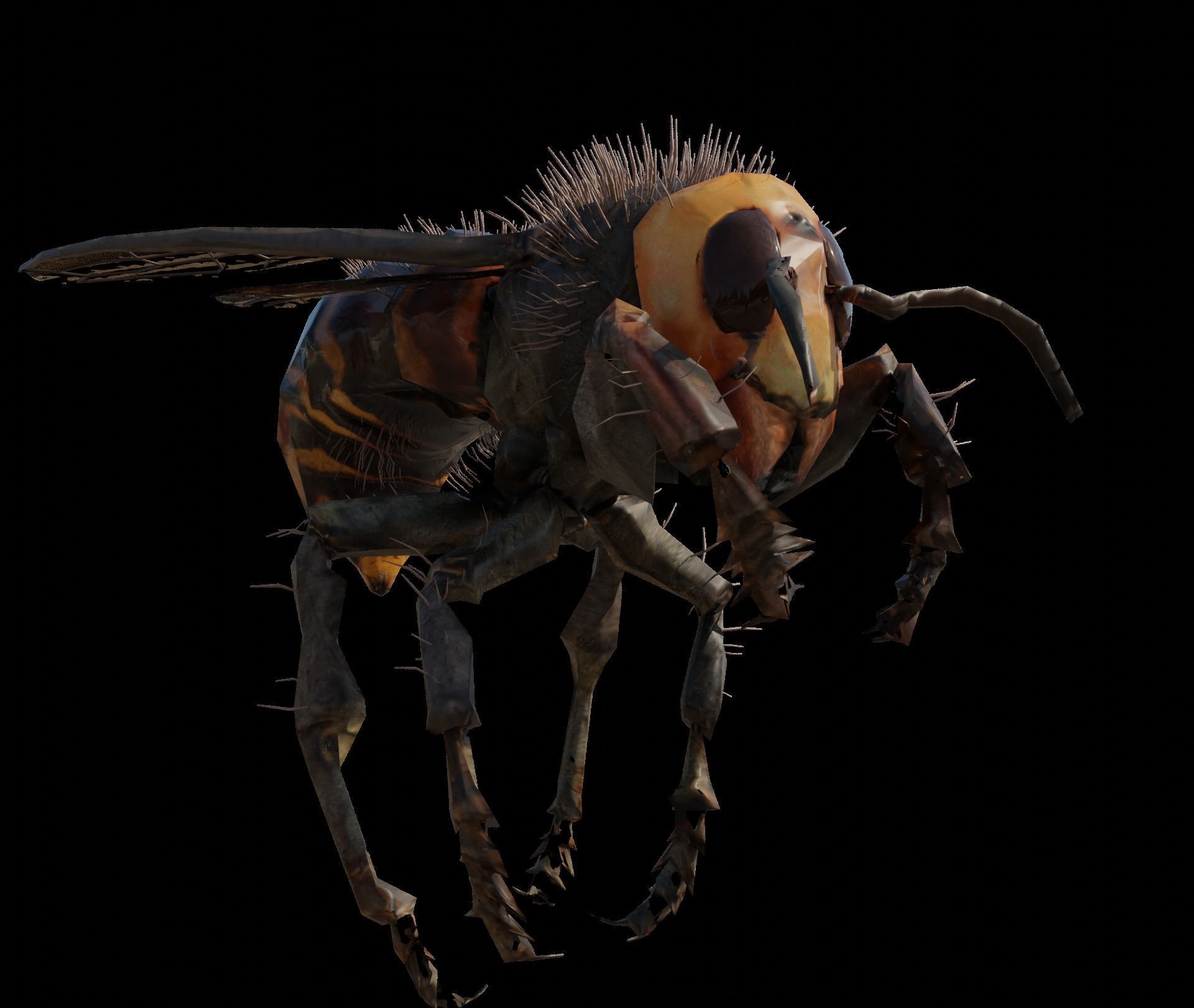 3d animated bee Low-poly 3D model_1