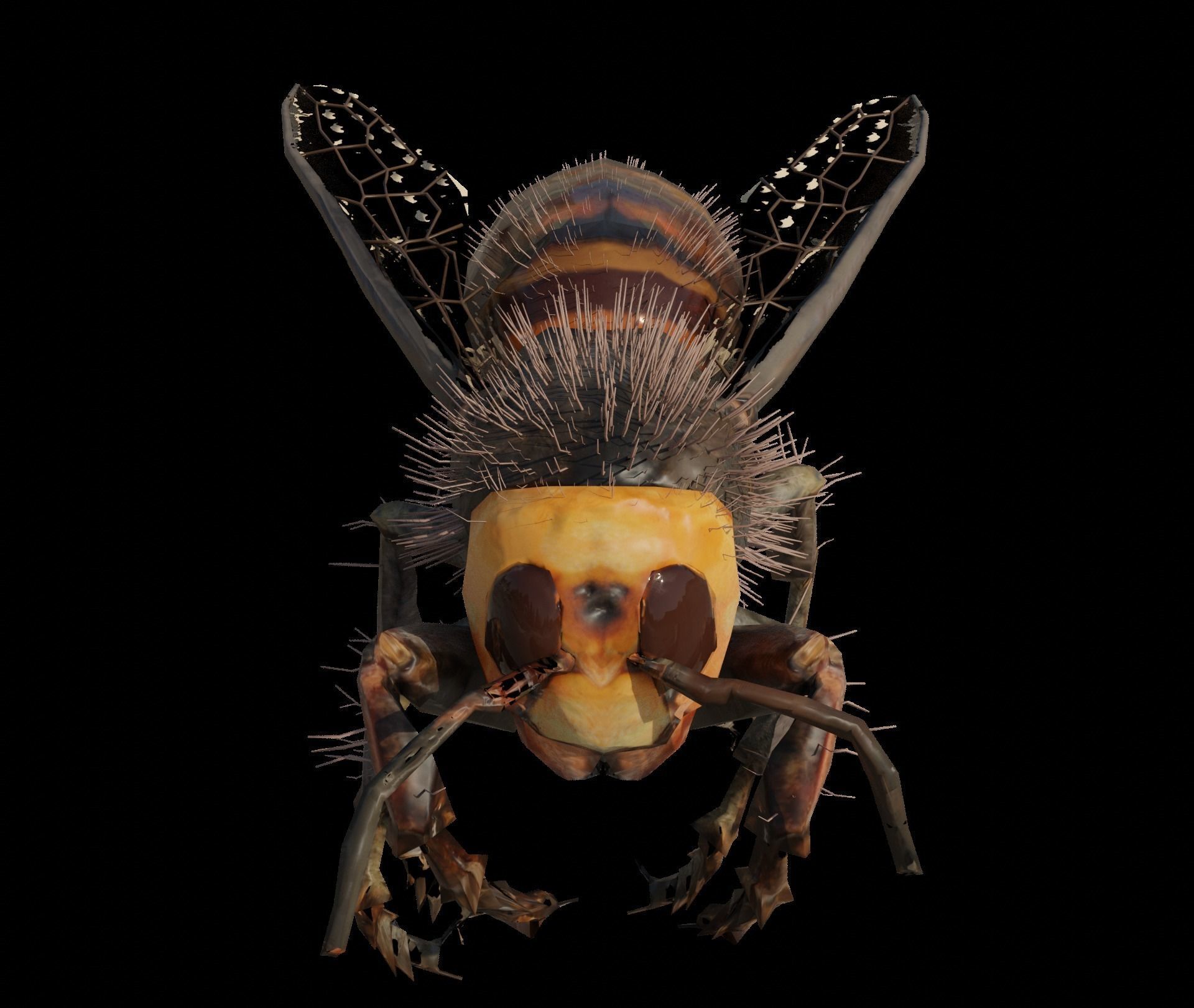 3d animated bee Low-poly 3D model_3