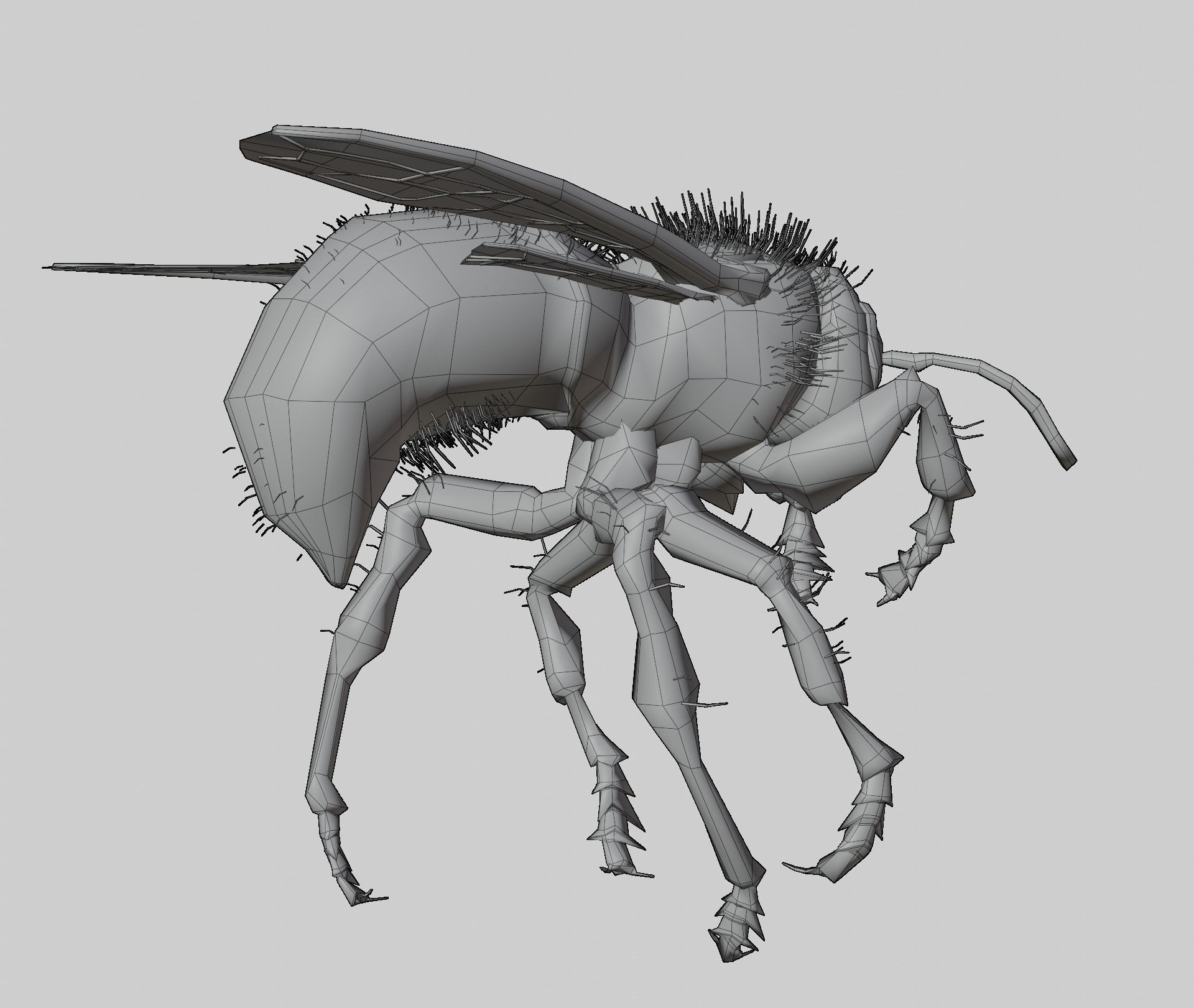 3d animated bee Low-poly 3D model_5