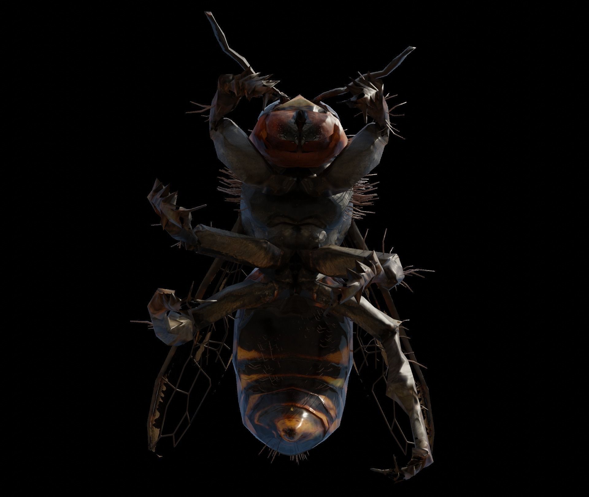 3d animated bee Low-poly 3D model_4