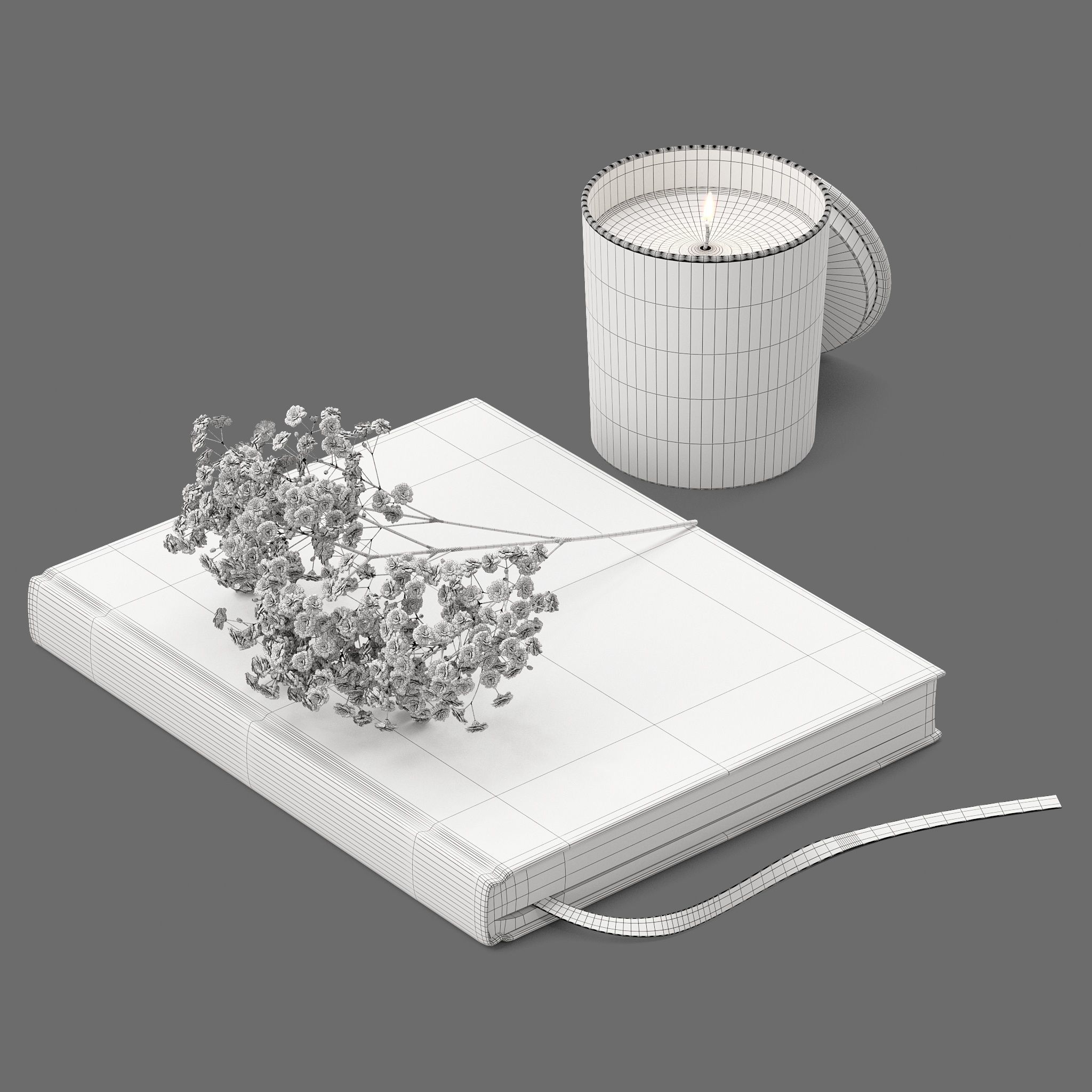 Decor flower Gypsophila books candle Set 45 3D model_3