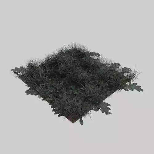 photorealistic natural groundcovers Low-poly 3D model PBR