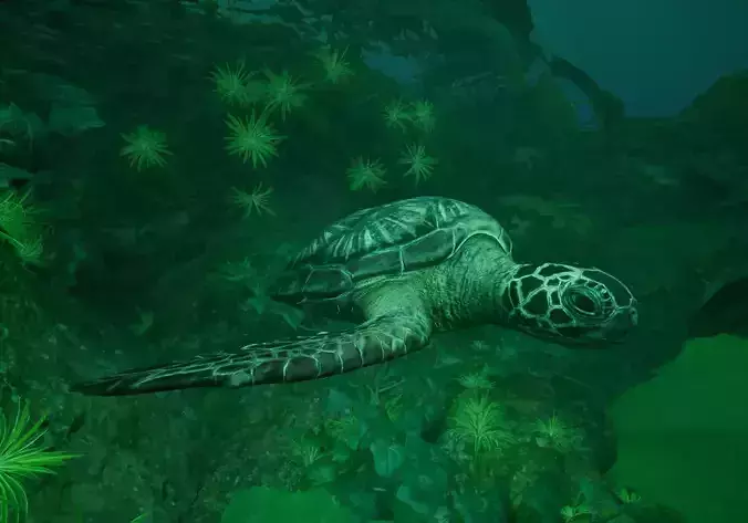 Low-Poly Sea Turtle