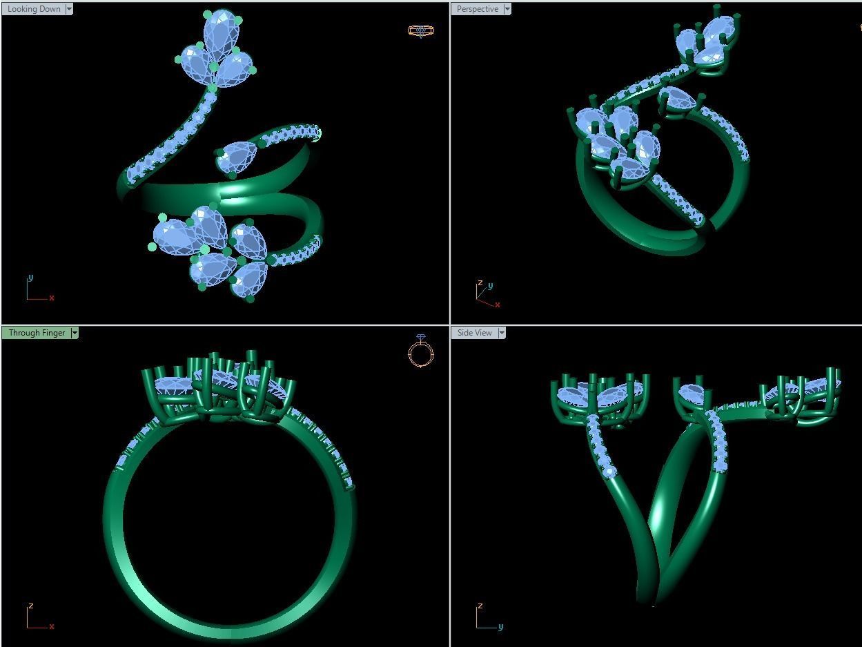 Fancy Ring 1 3D print model_1