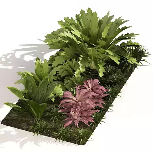 Vivid Tropical Plants Low-poly 3D model