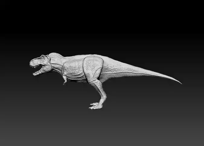 Tyrannosaurus rex 3d model