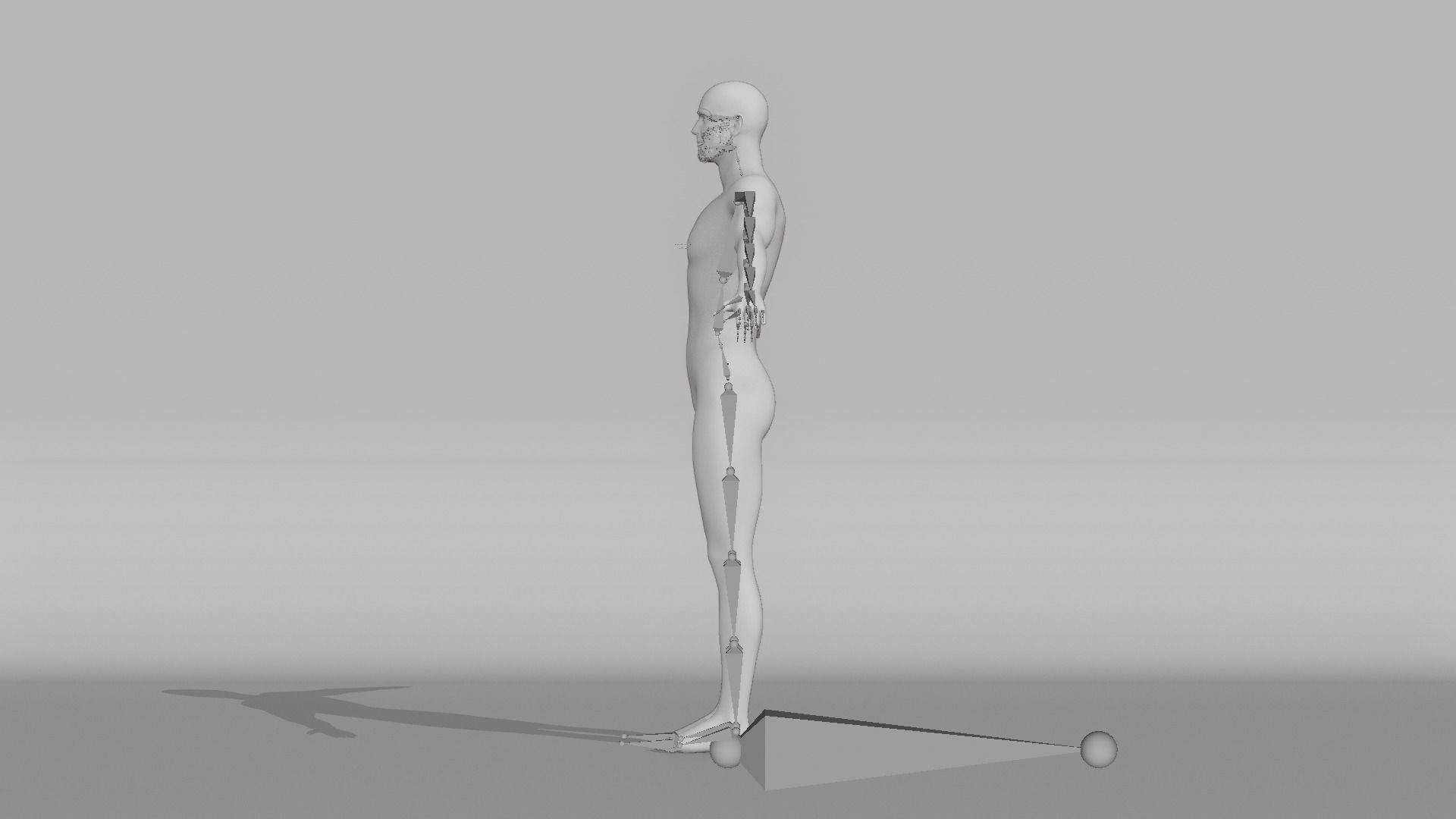 Realistic Male - Litt 3D model_14