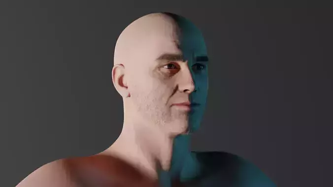 Realistic Male - Litt