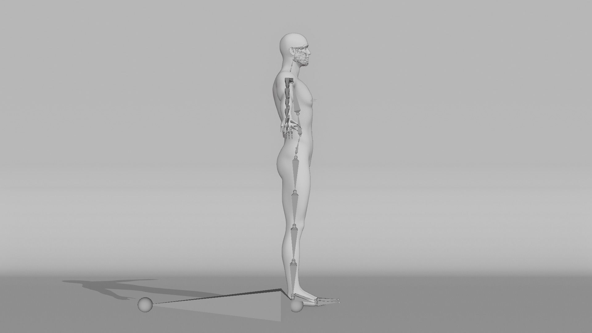 Realistic Male - Litt 3D model_12