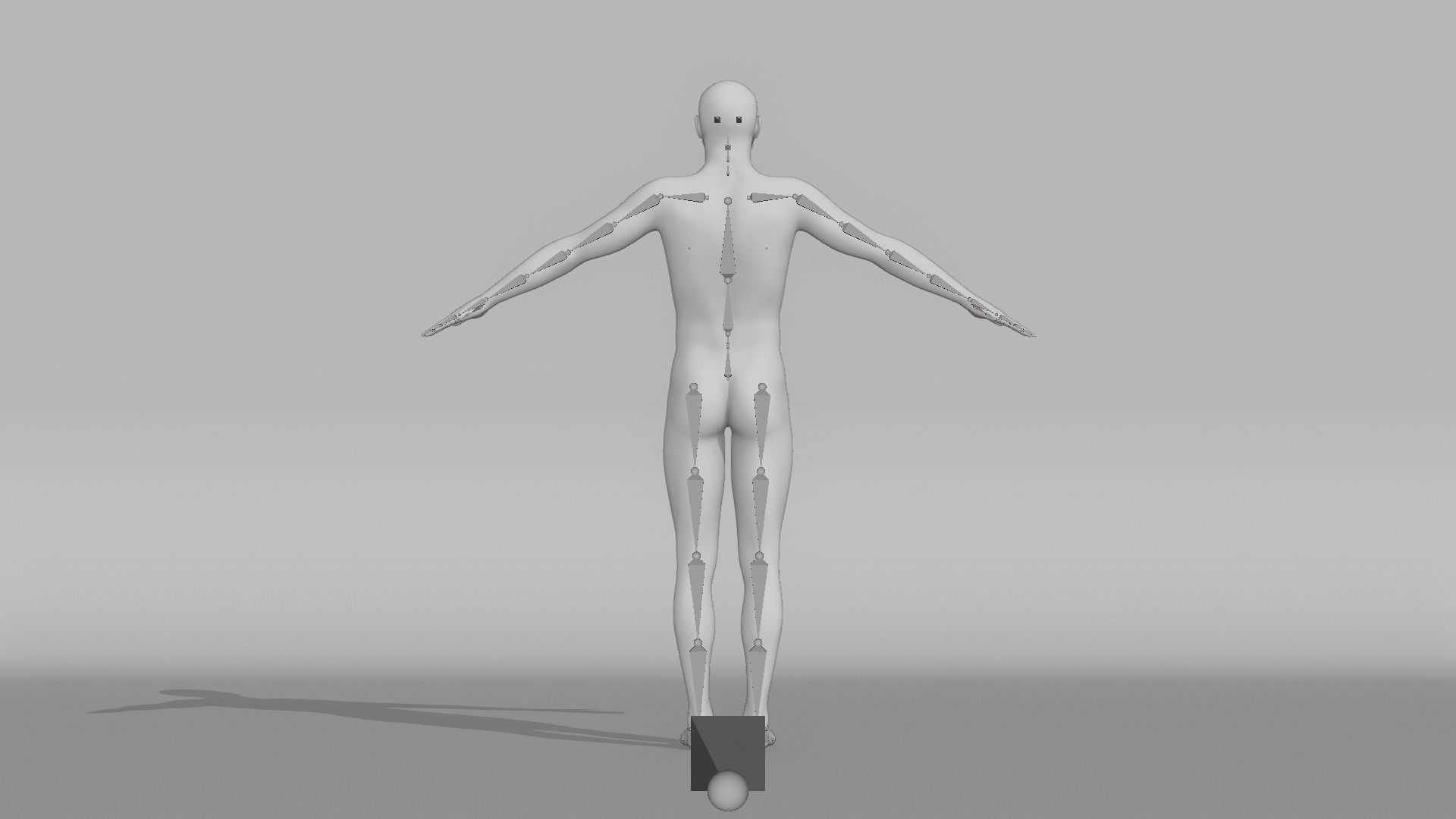 Realistic Male - Litt 3D model_13