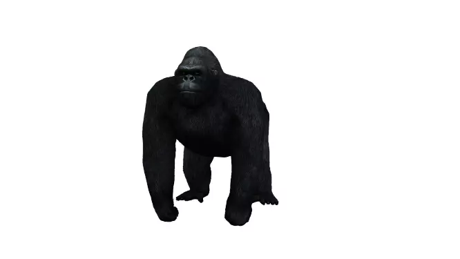 Gorilla Low-poly 3D model_0