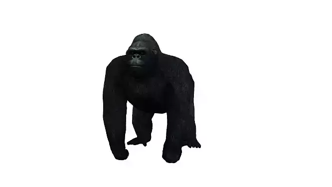Gorilla Low-poly 3D model