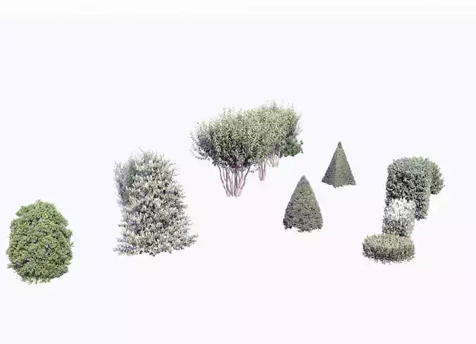 flowers Plant decoration plants monomer 3D model