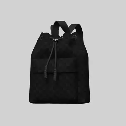 Modern 3D Back Pack 3D model