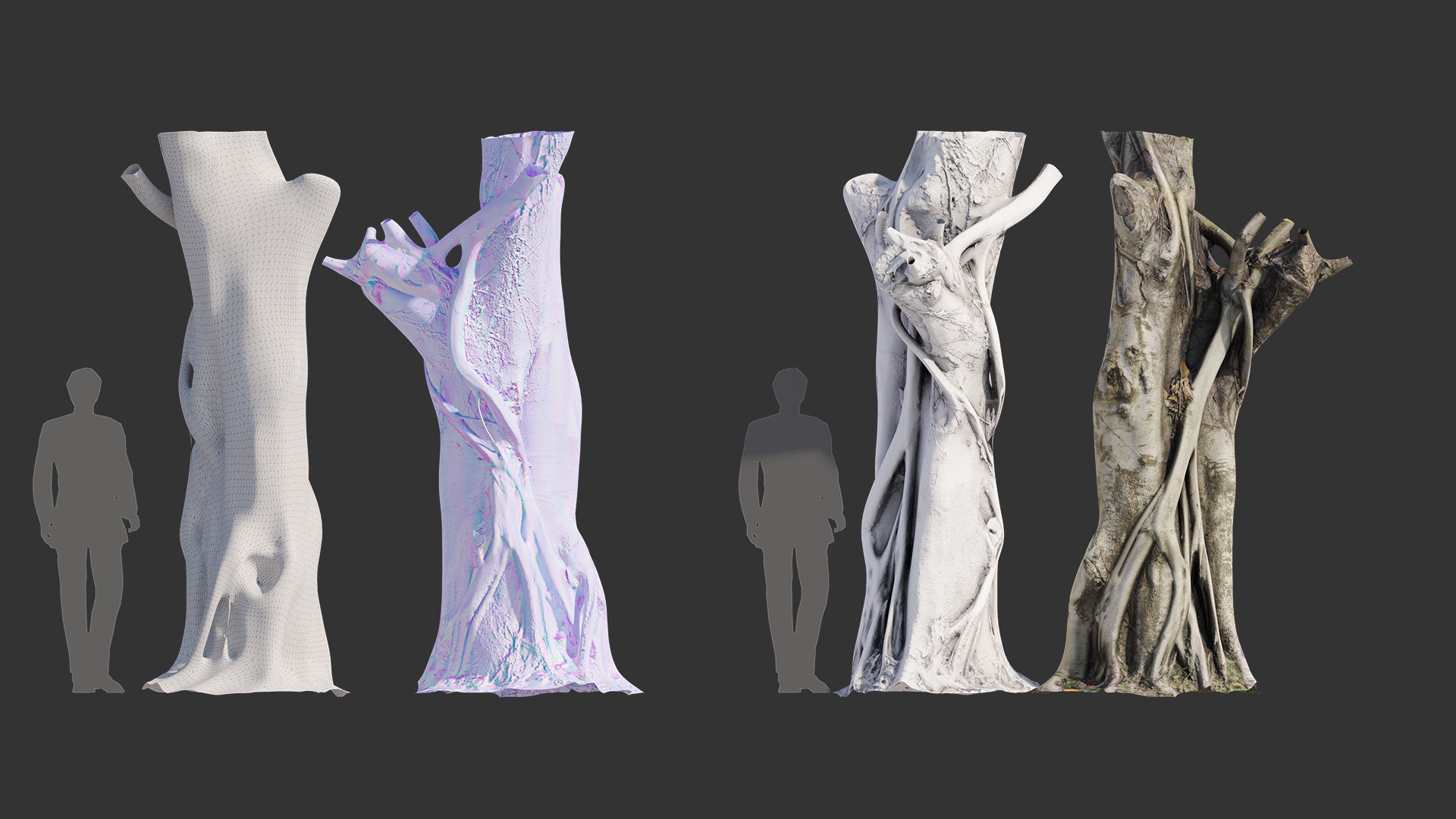 Ficus Tree Trunk 10 3D model_7