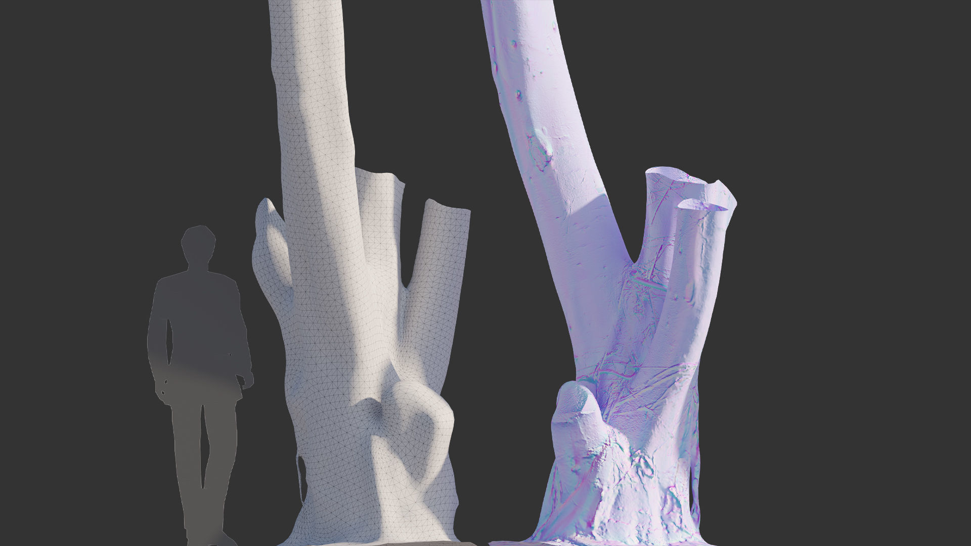 Ficus Tree Trunk 08 3D model_8