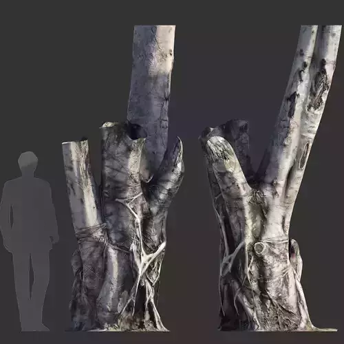 Ficus Tree Trunk 08 3D model Ficus Tree Trunk 08 3D model