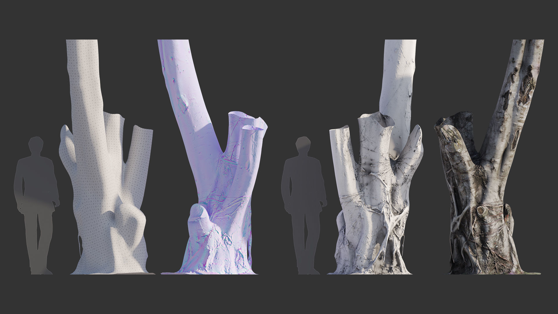 Ficus Tree Trunk 08 3D model_7