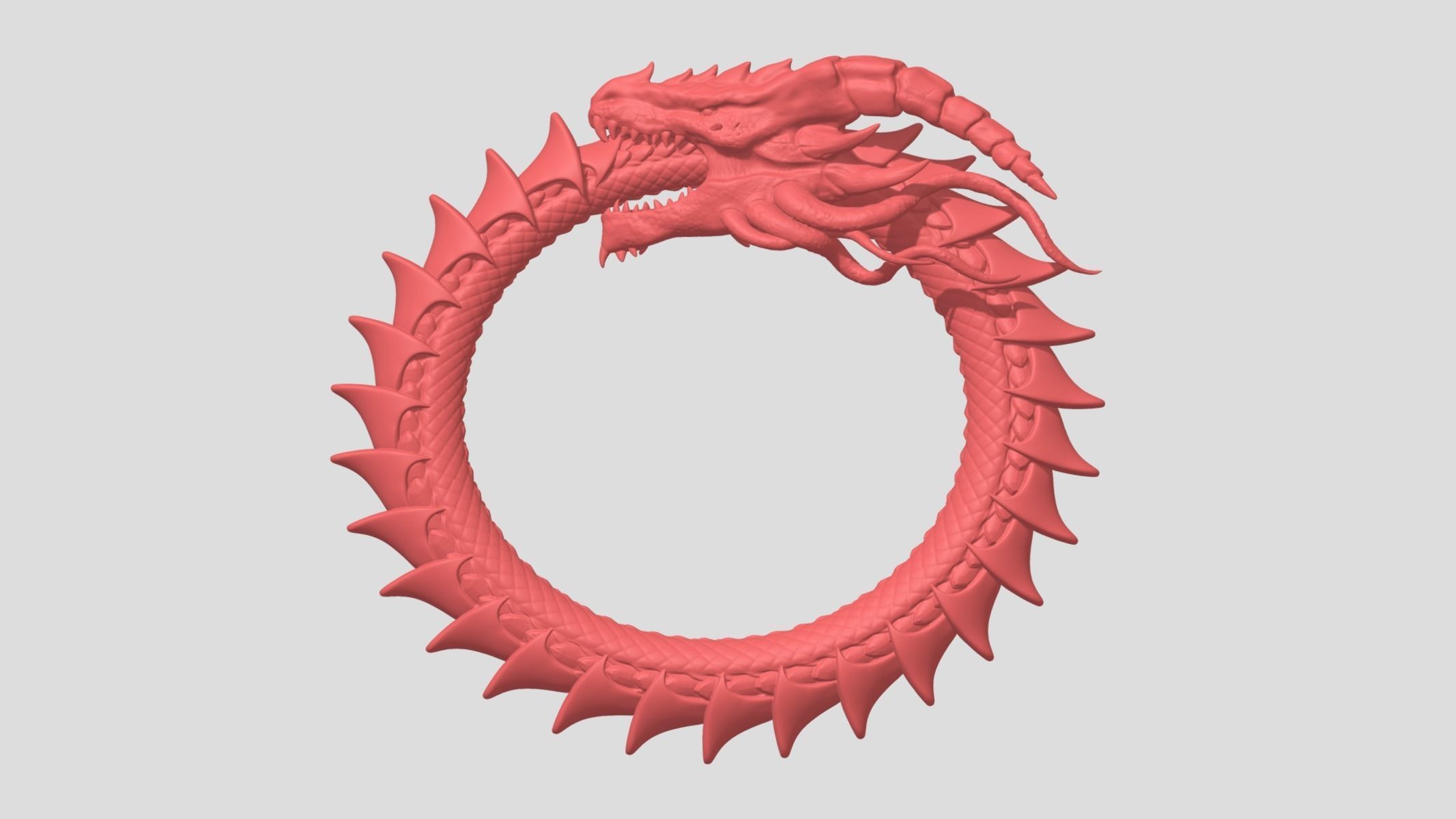 Dragon Eating Its Own Tail 3D print model_5