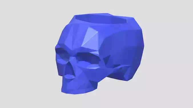 Skull Paper Holder