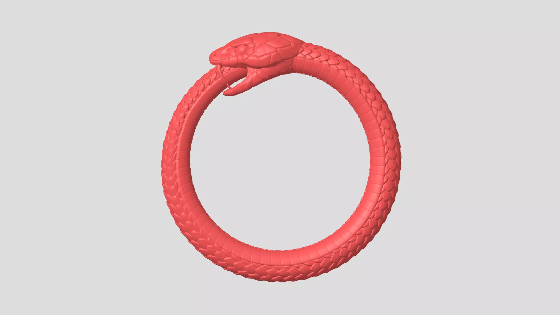 Snake Eating Its Own Tail 3D print model