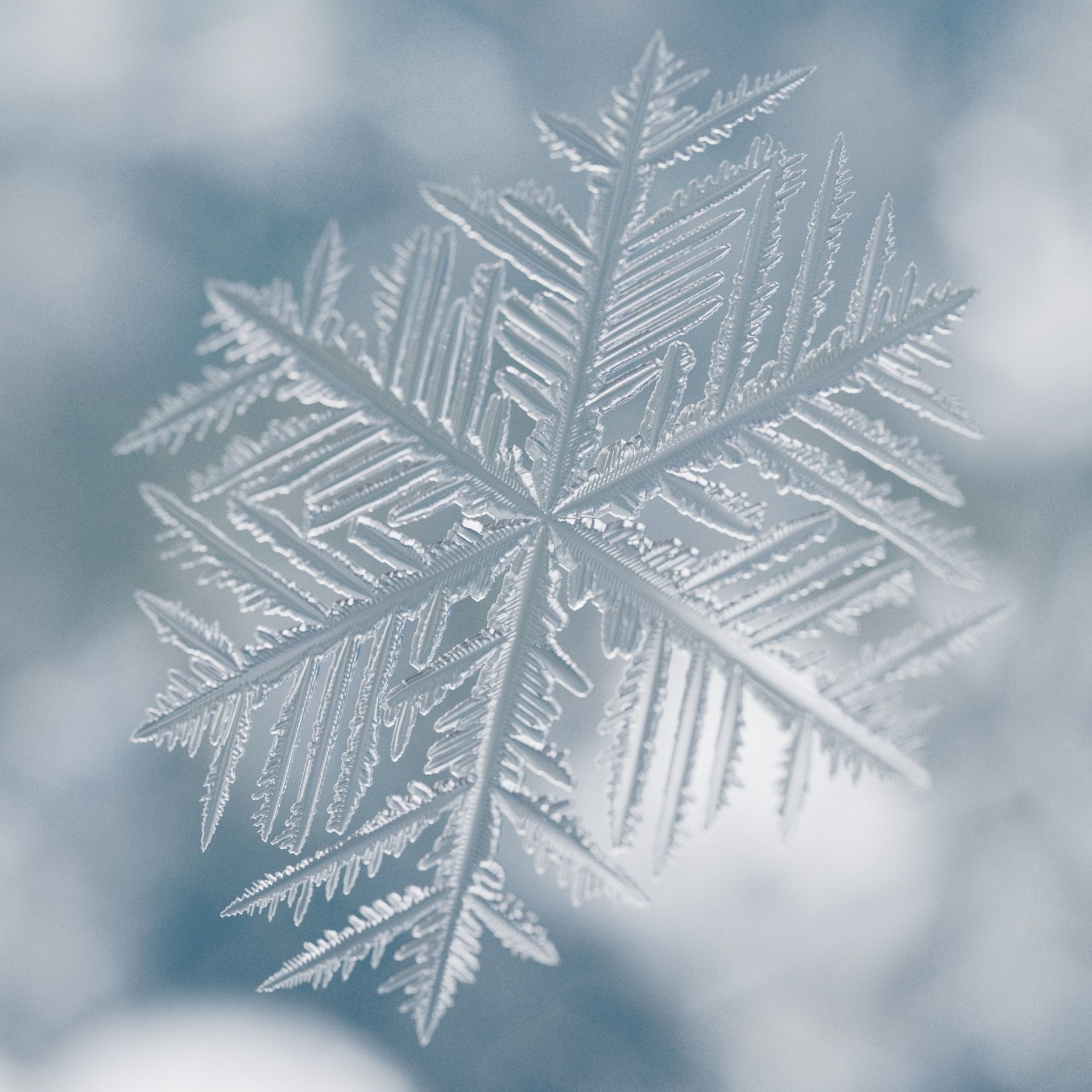 Snowflakes 3D model_2