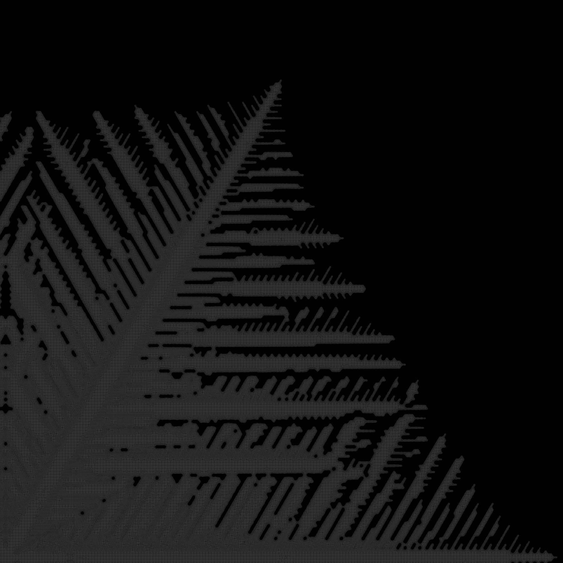 Snowflakes 3D model_84