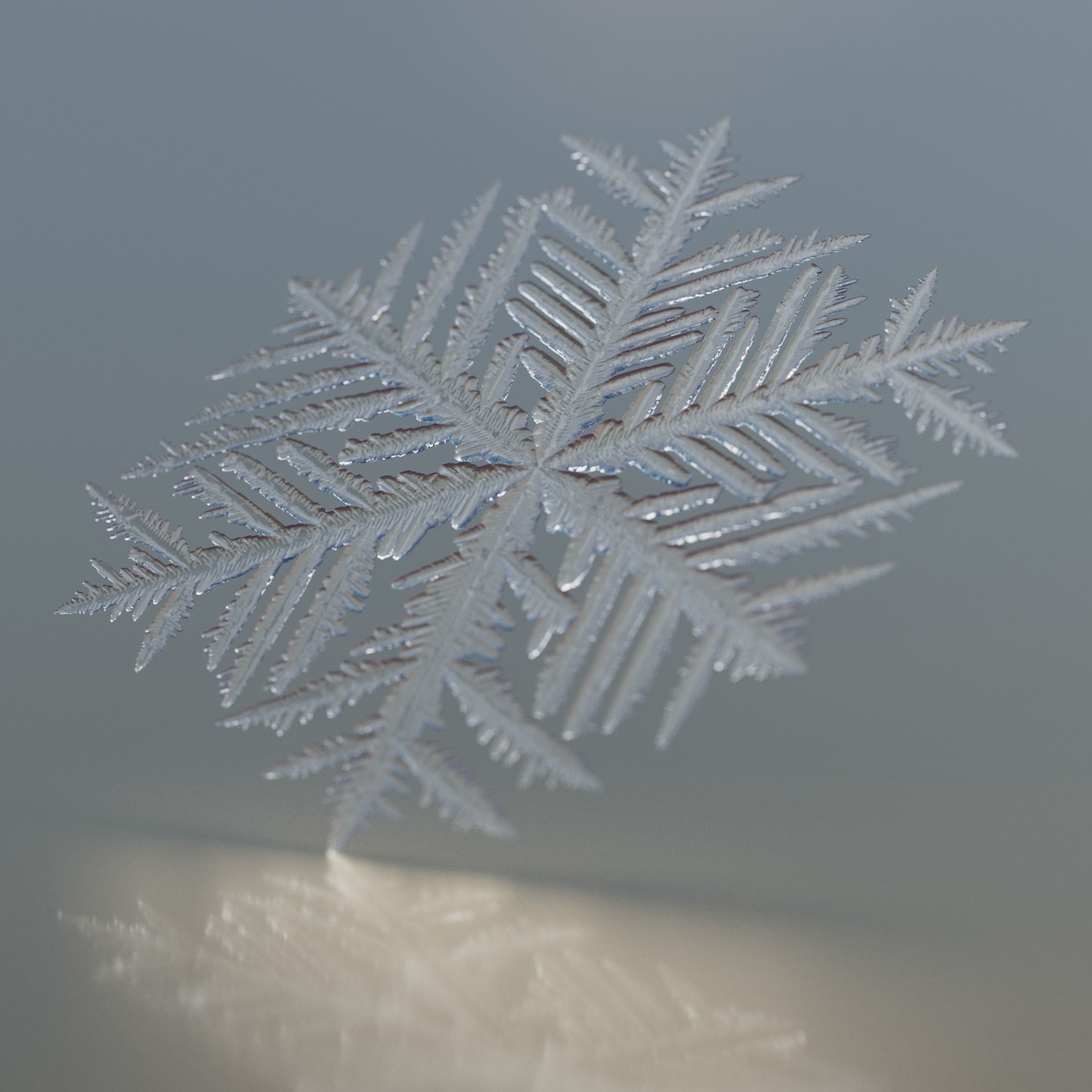Snowflakes 3D model_1