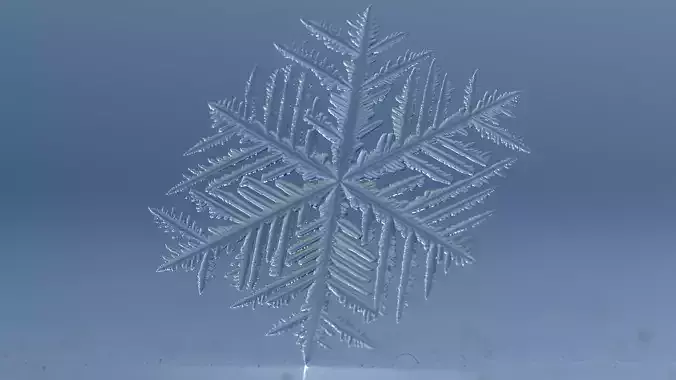 Snowflakes 3D model