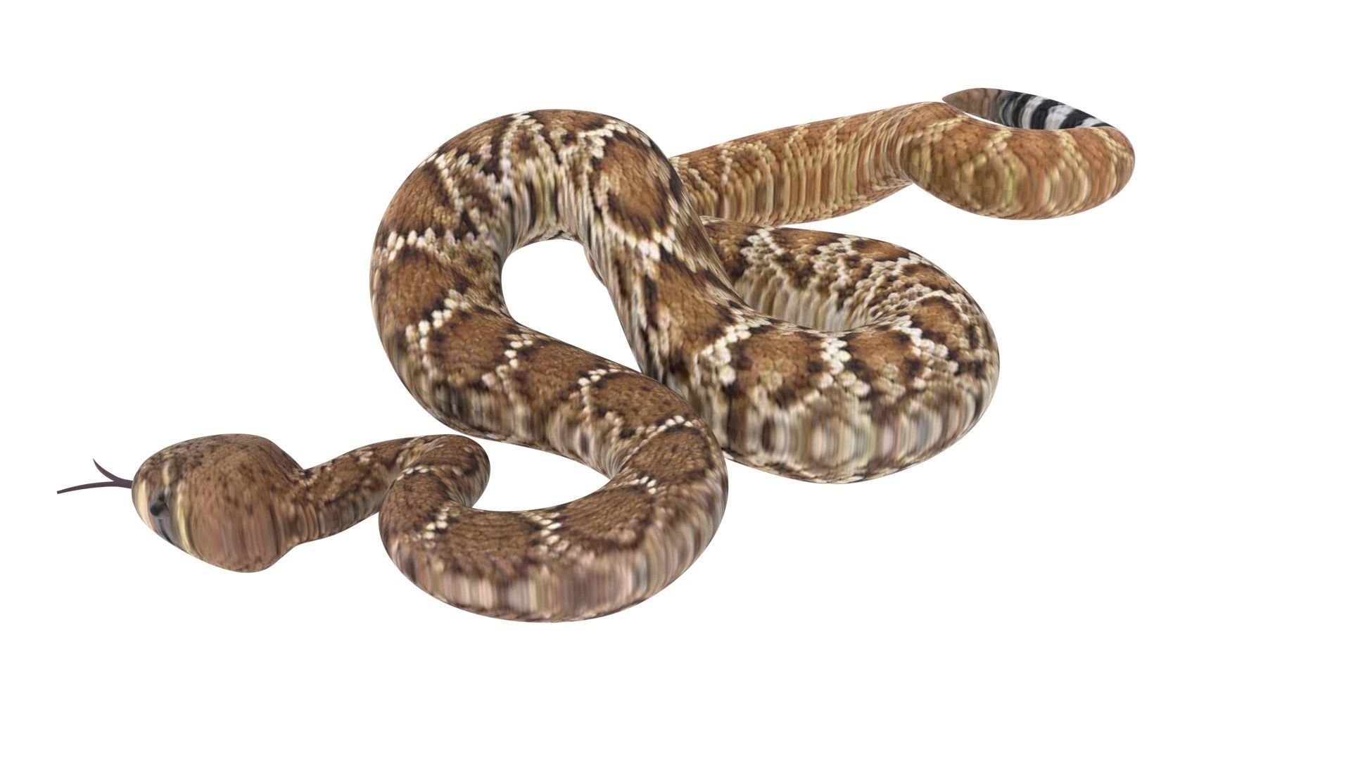 Viper Snake 3D model_9