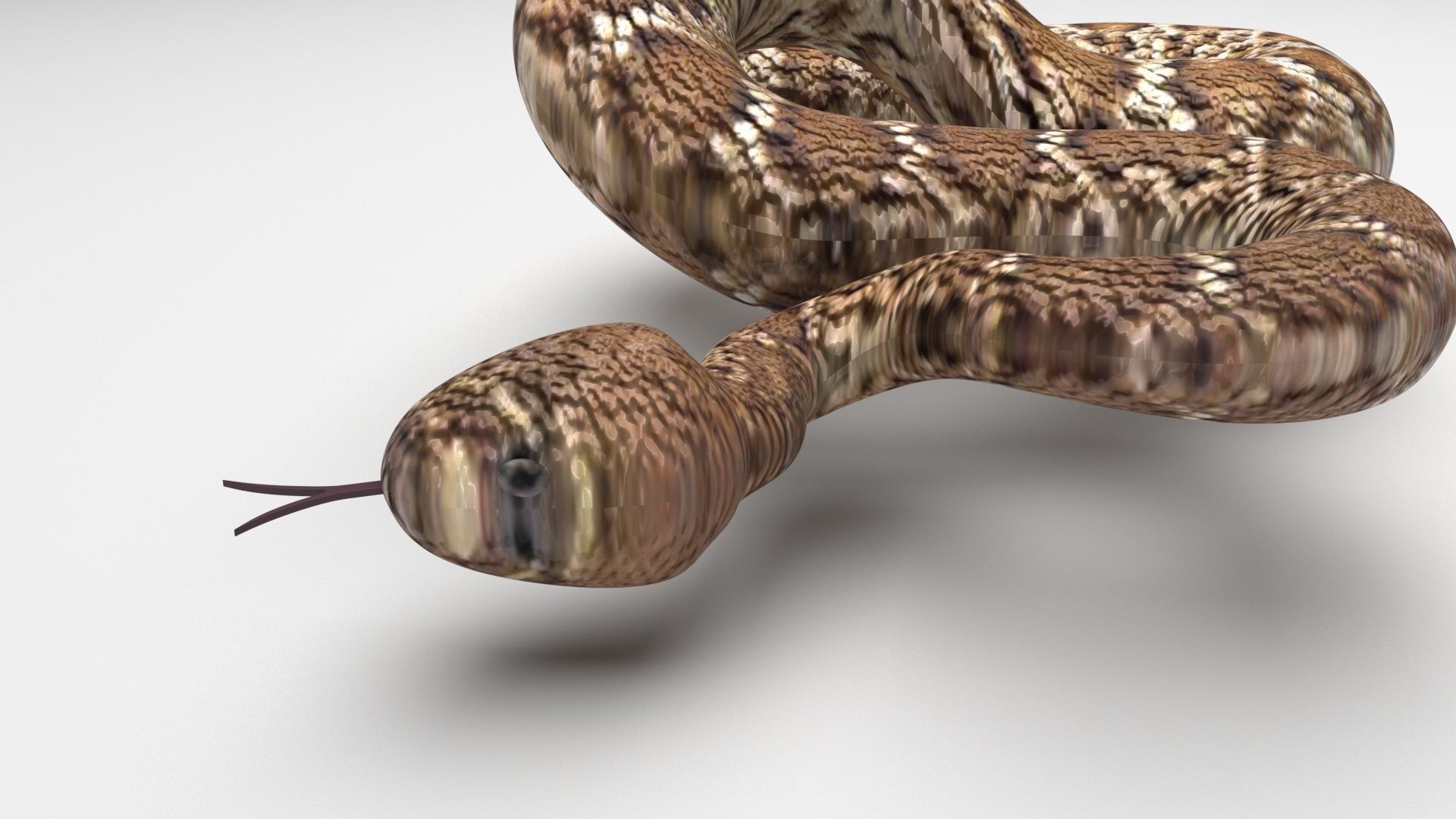 Viper Snake 3D model_5