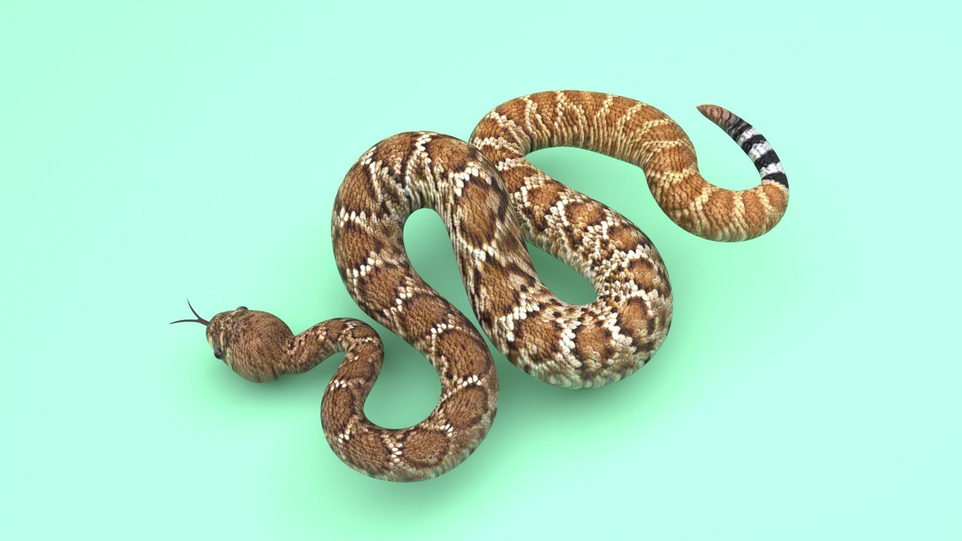 Viper Snake 3D model_7