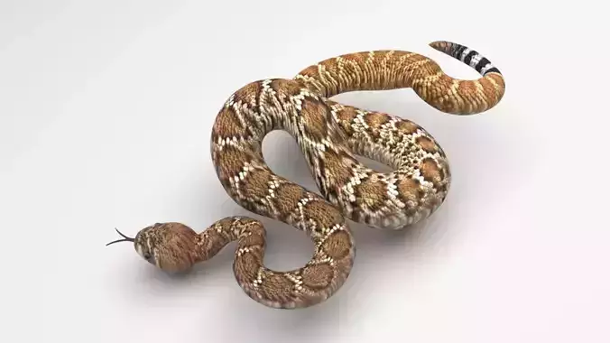 Viper Snake 3D model