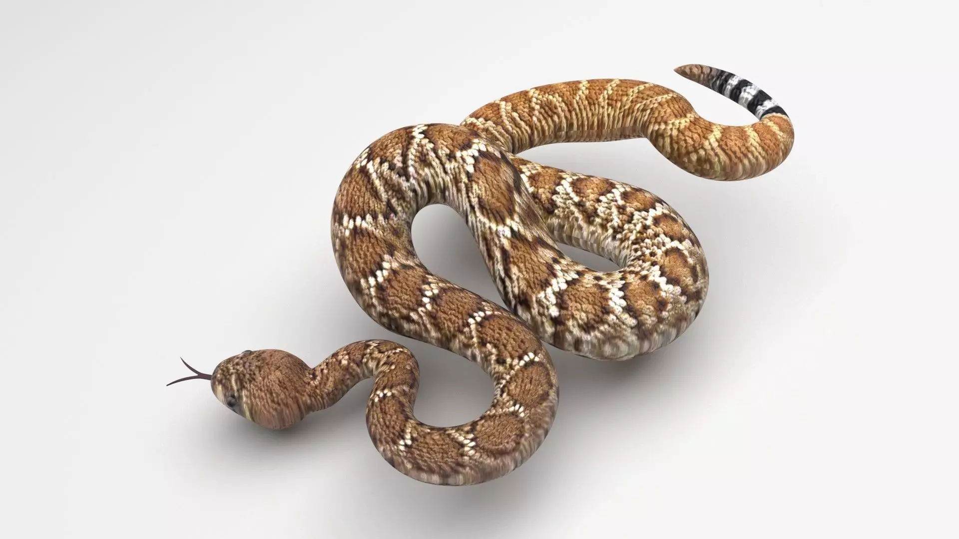 Viper Snake 3D model_0