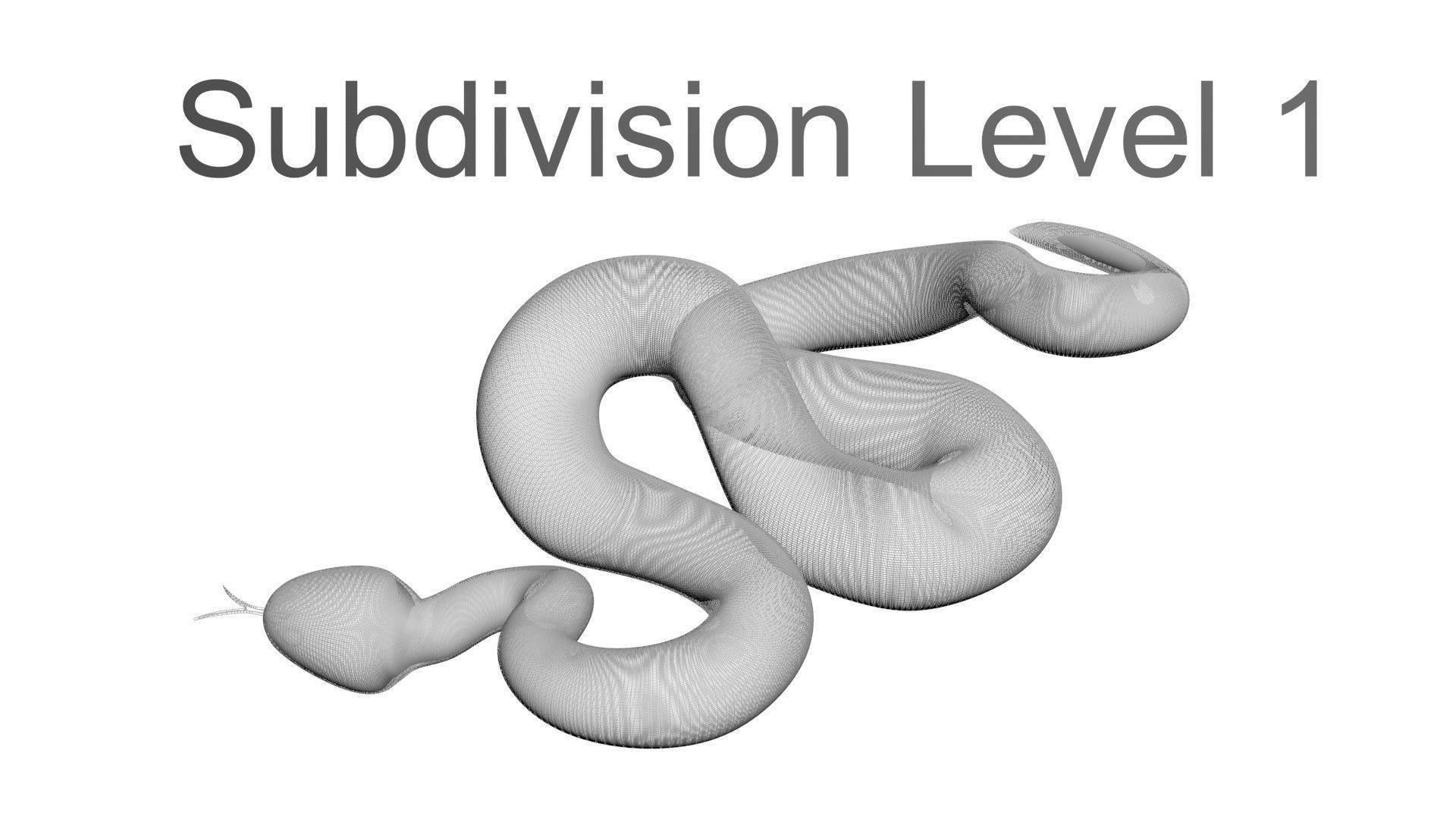 Viper Snake 3D model_22