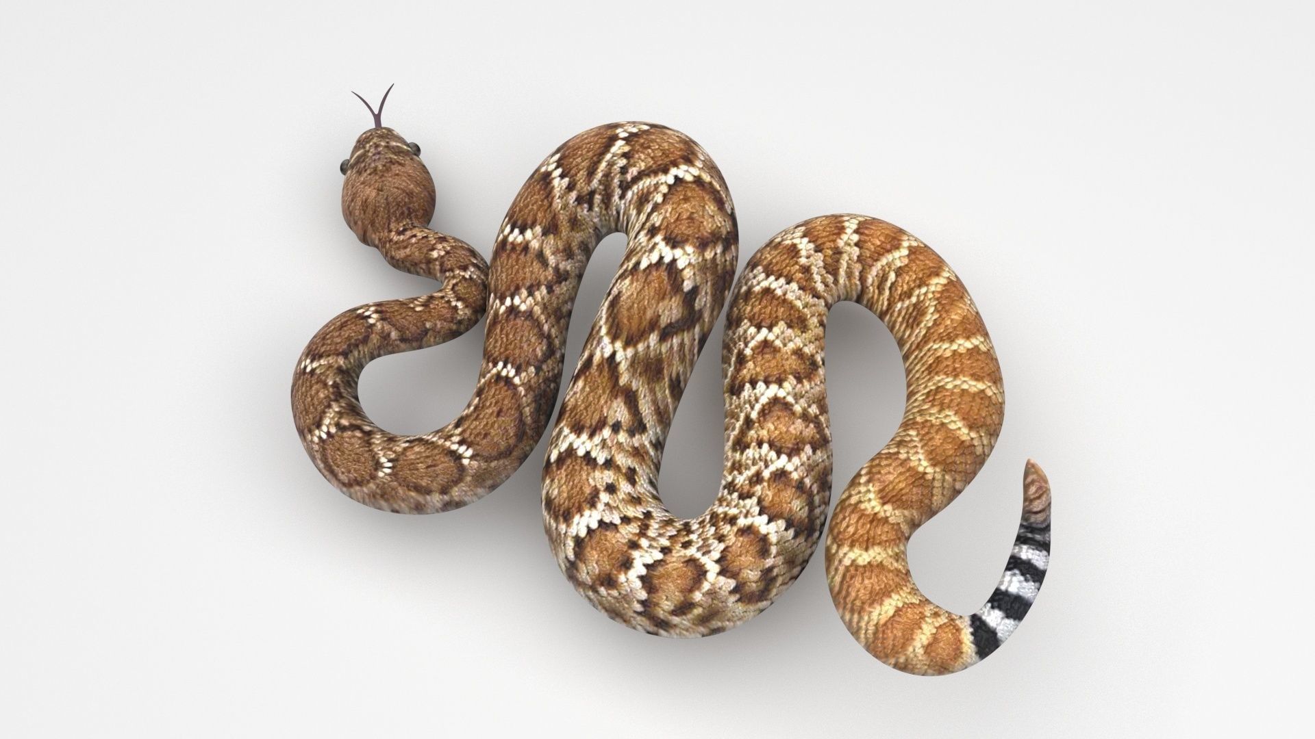 Viper Snake 3D model_1
