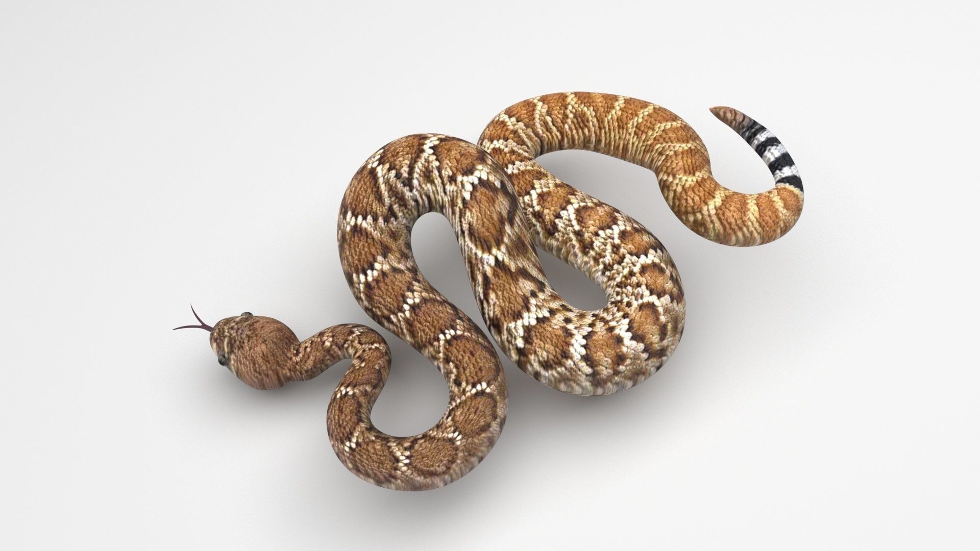 Viper Snake 3D model_4