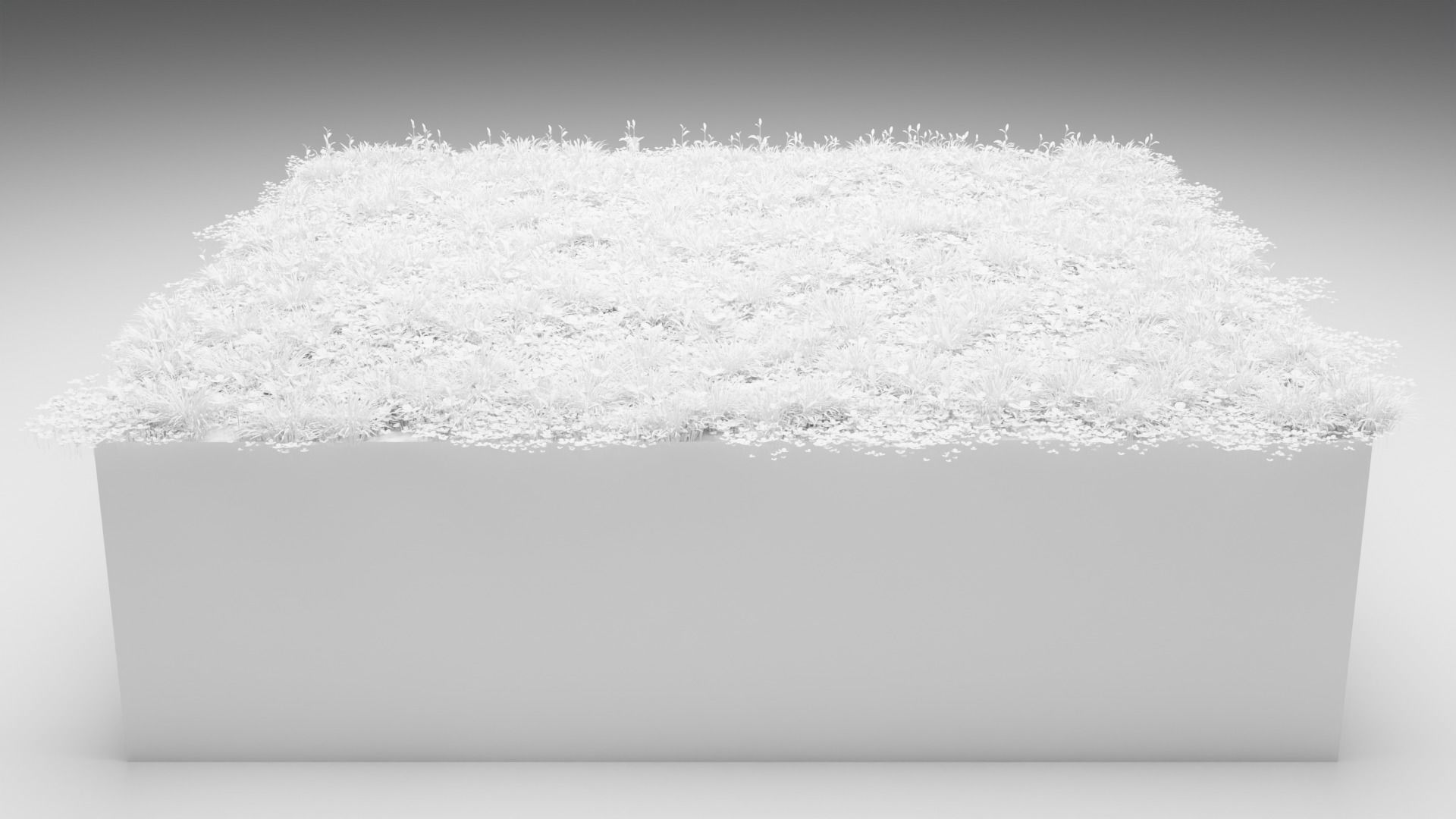 Lawn grass free Low-poly 3D model_5