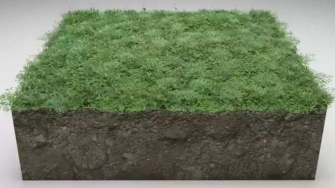 Lawn grass free Low-poly 3D model