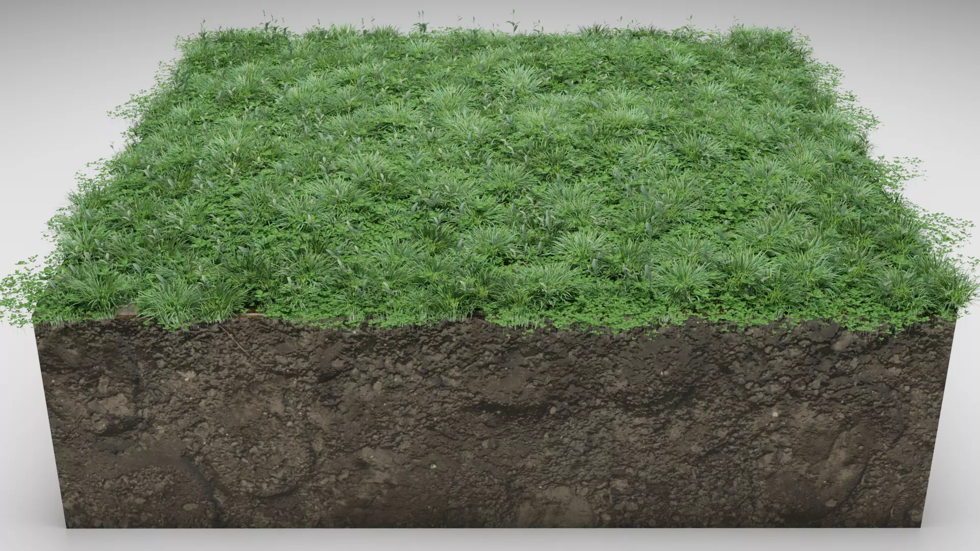 Lawn grass free Low-poly 3D model_0